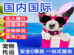 舟山空运地址国际宠物托运 【国